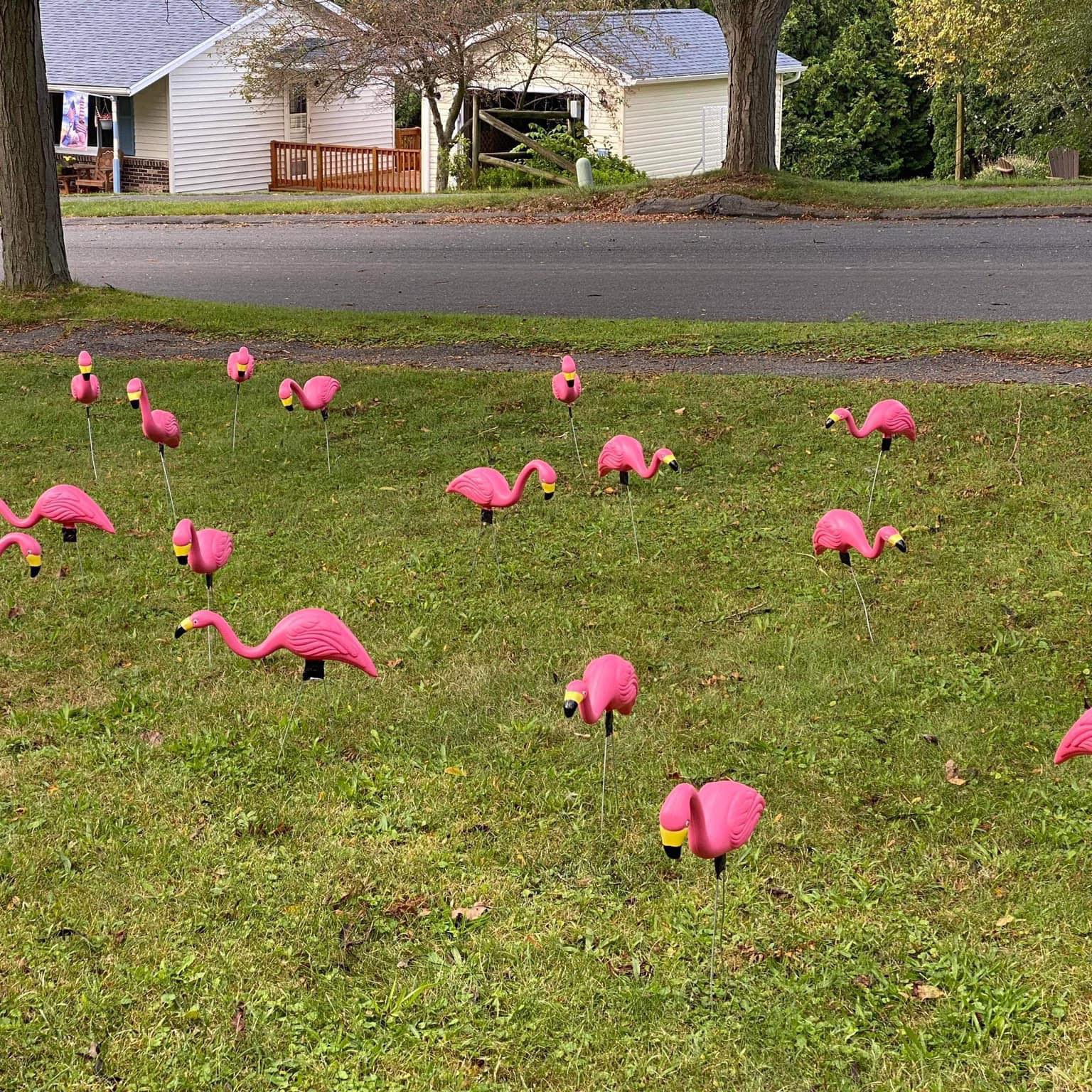 Events Port Matilda Emergency Medical Services