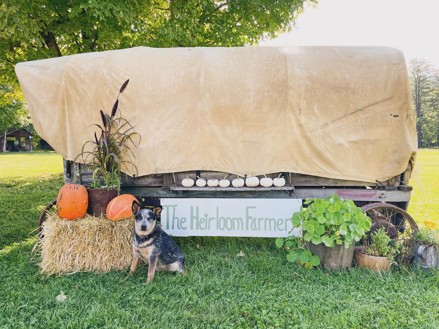 Events Port Matilda Emergency Medical Services